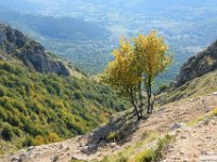 2026-10-17 Monte Velino 188